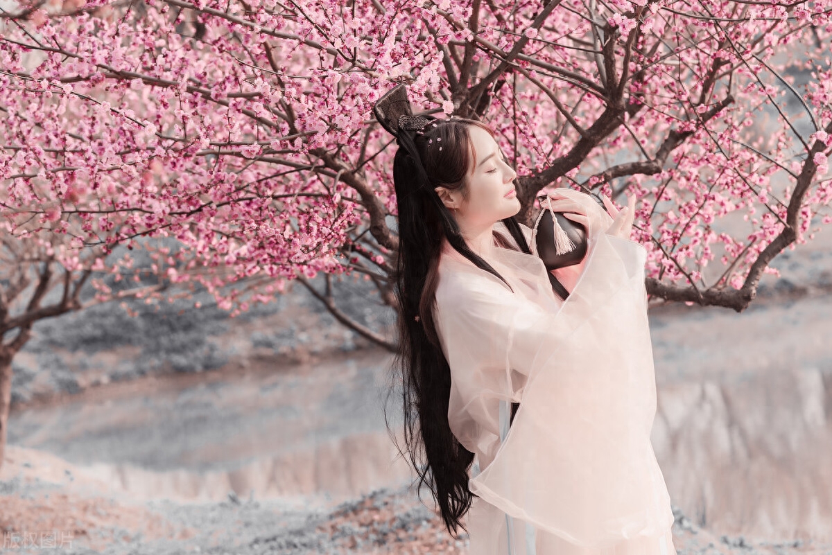 一架葡萄藤，一盏孤灯，一卷诗书，炎炎夏日里如汩汩清泉带来清凉(图13)