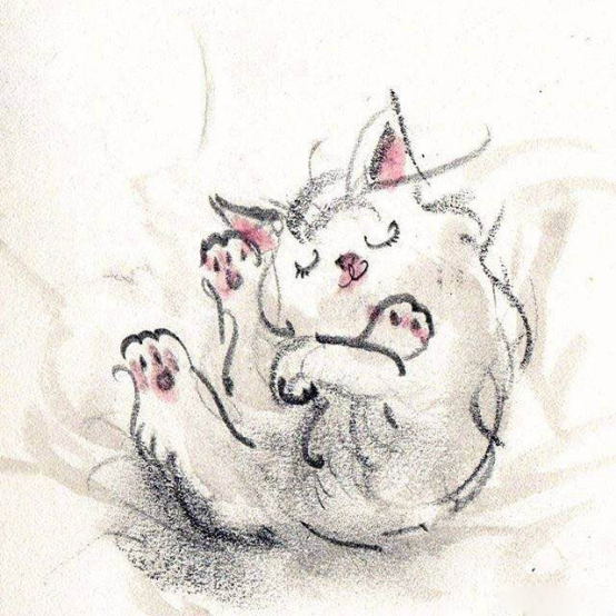 十个唯美的爱情句子：所有的感情，不强求，不挽留，不讨好(图3)