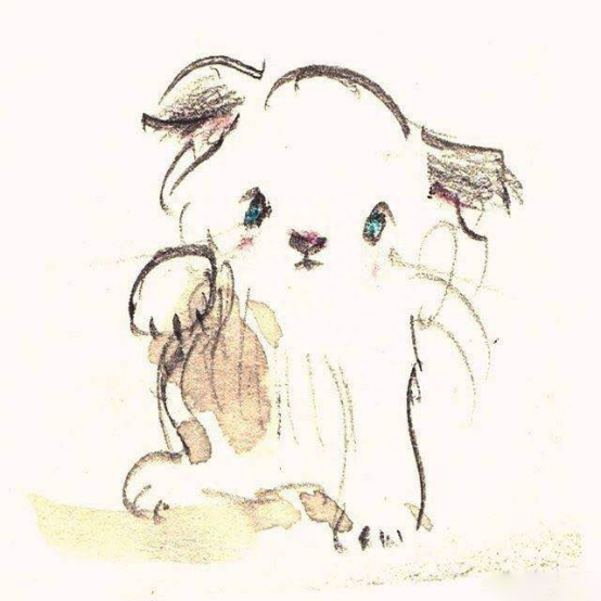 十个唯美的爱情句子：所有的感情，不强求，不挽留，不讨好(图4)