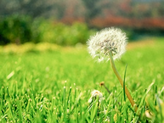 没有你的陪伴，多了一些遗憾，没有你的日子，多了一份想念(图3)