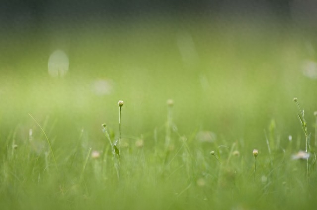 没有你的陪伴，多了一些遗憾，没有你的日子，多了一份想念(图4)