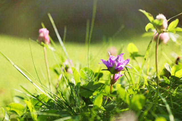 没有你的陪伴，多了一些遗憾，没有你的日子，多了一份想念(图5)