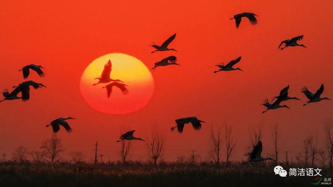 写给青春萌动的人儿们(图2)