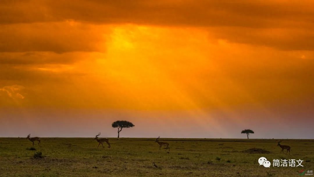 写给青春萌动的人儿们(图3)