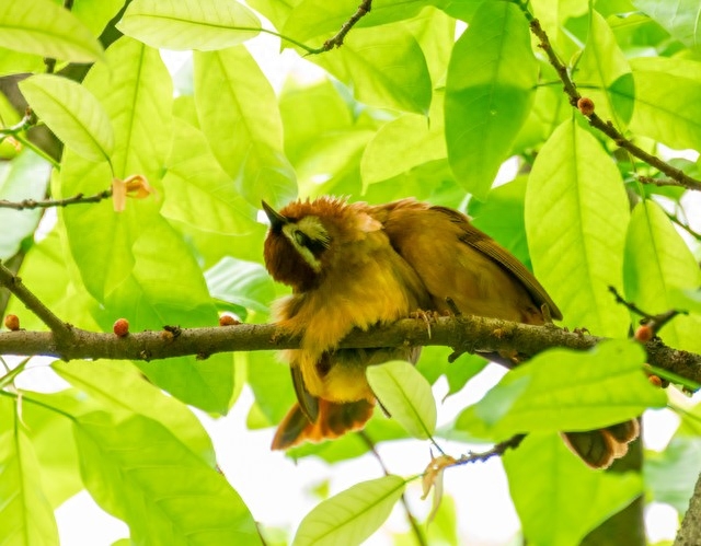天空黑暗到一定程度，星辰就会熠熠生辉(图2)