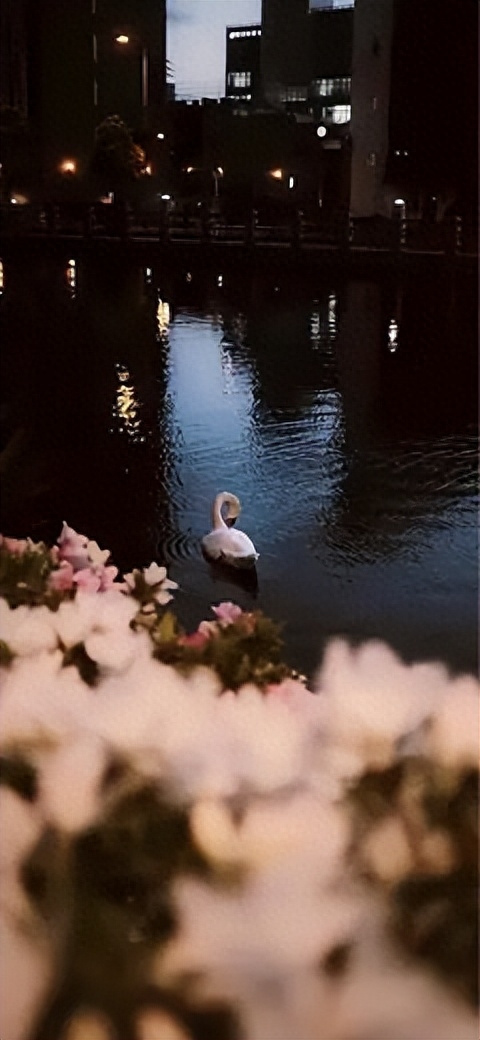 值得细读的励志文案句子(图5)