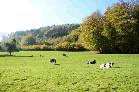 海外十年，浮生如梦，宠辱皆忘，永不停歇(图3)