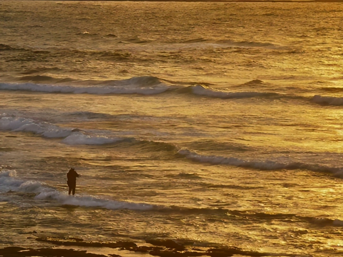 海外十年，浮生如梦，宠辱皆忘，永不停歇(图8)