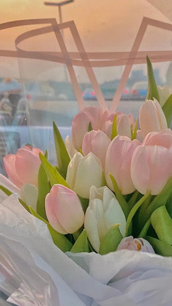 适用于去打卡景点的文案(图1)