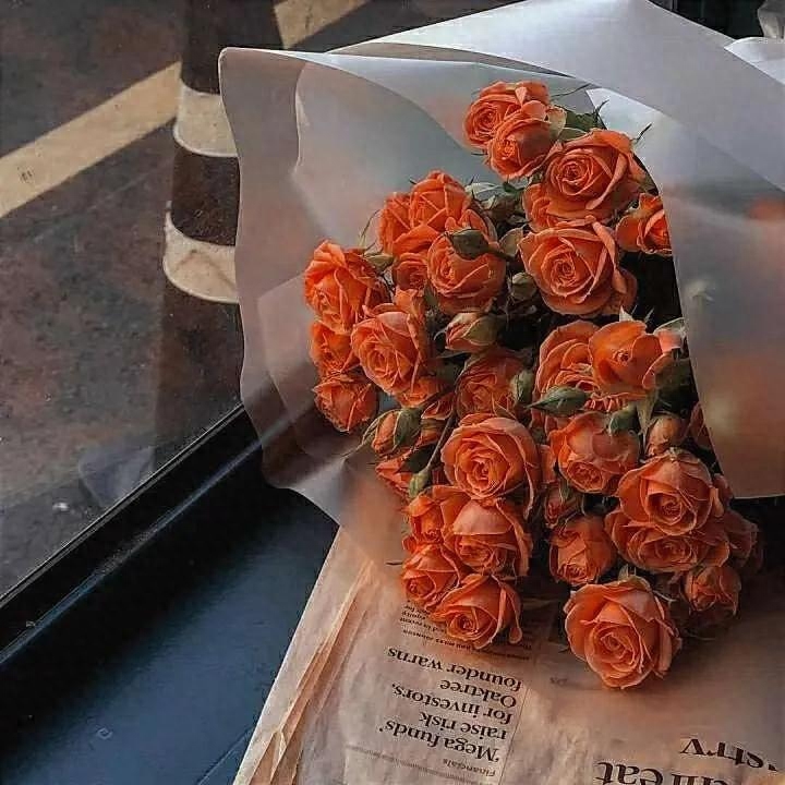 适用于去打卡景点的文案(图2)