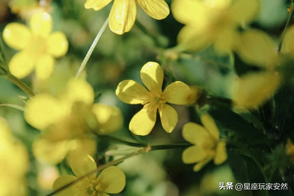 9月1日，你们拥有坚强的意志力和决心，克服困难，凯旋而归(图3)