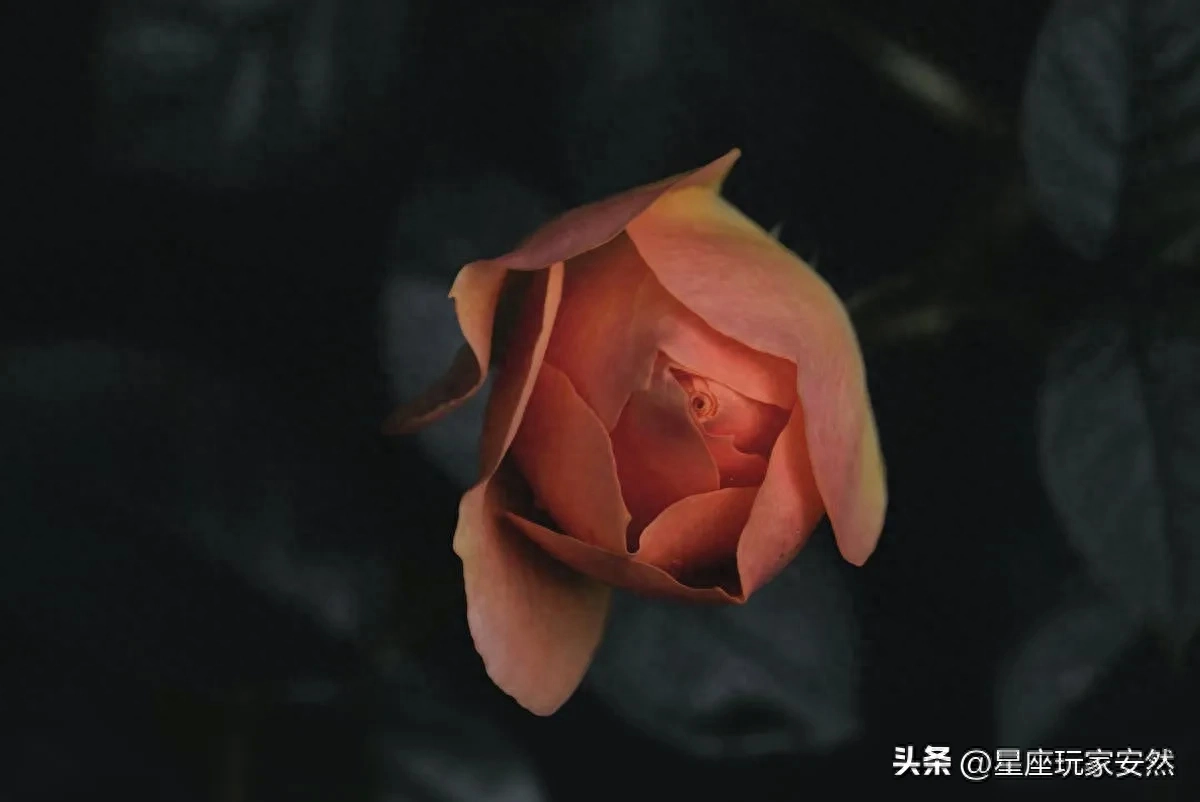 9月1日，你们拥有坚强的意志力和决心，克服困难，凯旋而归(图5)