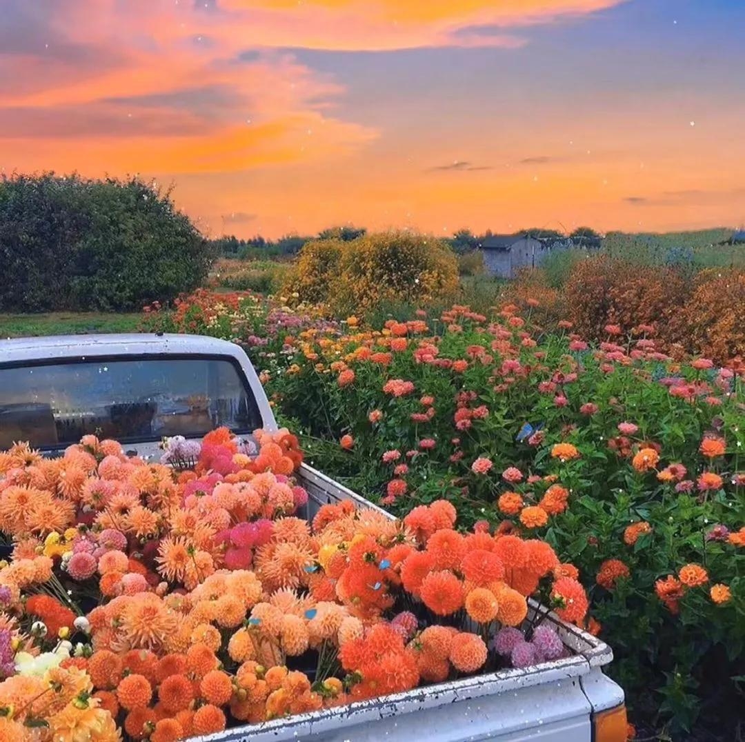 世人熙熙攘攘，皆为碎银几两(图1)