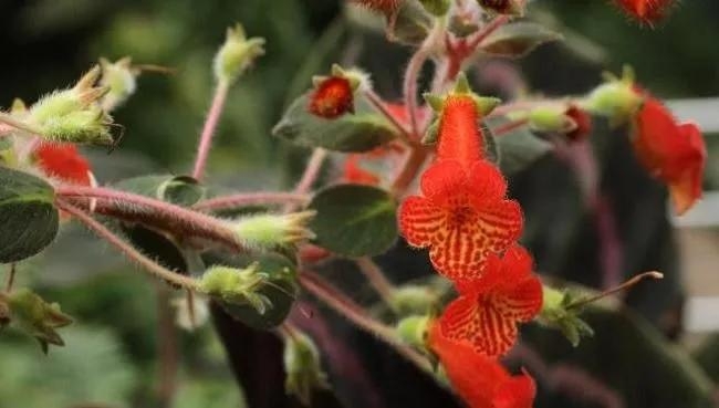 世人熙熙攘攘，皆为碎银几两(图2)