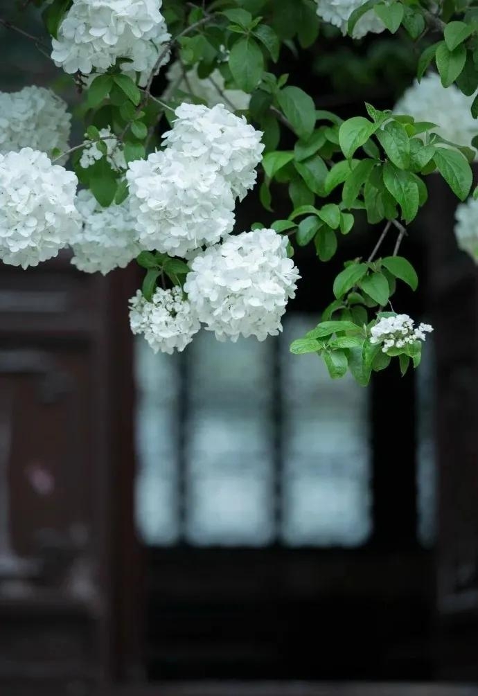 世人熙熙攘攘，皆为碎银几两(图3)