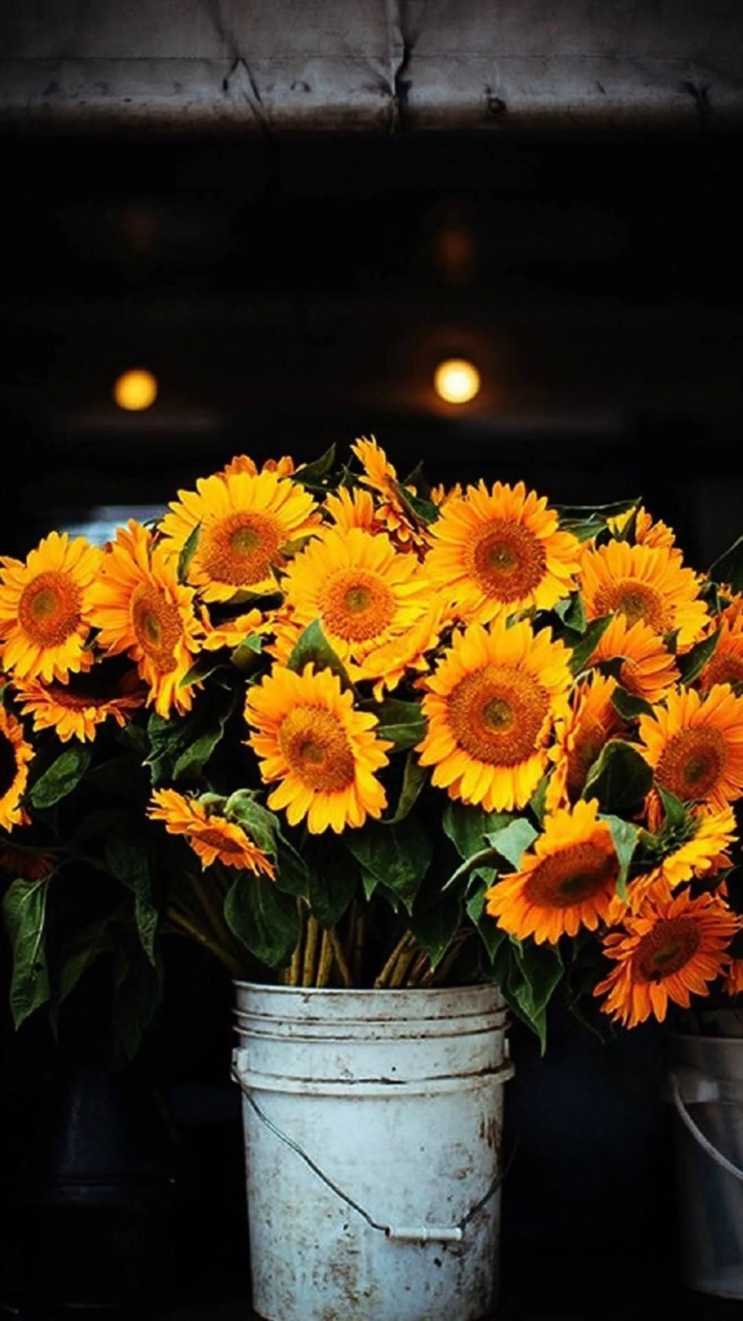 世人熙熙攘攘，皆为碎银几两(图4)