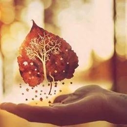 世人熙熙攘攘，皆为碎银几两(图5)