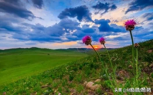 人活着，其实挺累(图2)