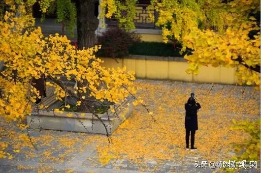 人活着，其实挺累(图3)