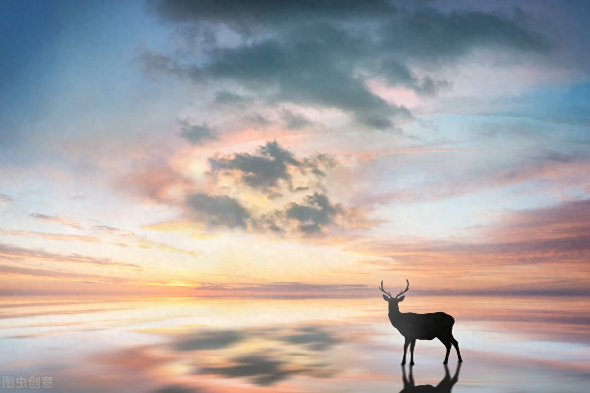 简短走心的情话句子，用情至深，感人肺腑(图2)