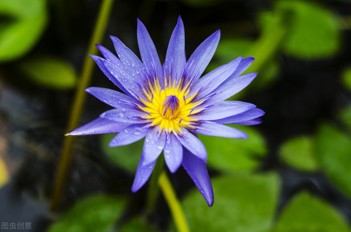 遇此良人，一见倾心，想你，念你，做不了夫妻，就在心里陪你(图1)