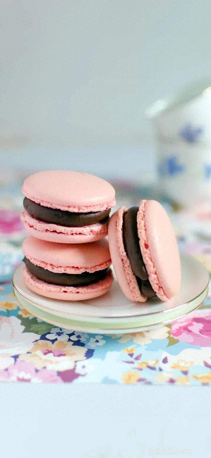 每日一句情话——与你同行，不介路远，都是风景，幸会(图1)