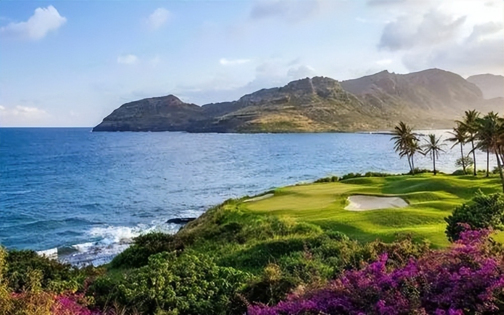 期待的花开，唯美短句点亮人生之旅(图2)