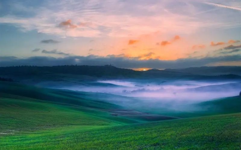 期待的花开，唯美短句点亮人生之旅(图4)