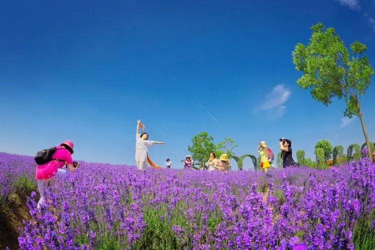 相识一周年唯美句子：最珍贵的事情莫过于夕阳下牵手漫步的时光(图5)