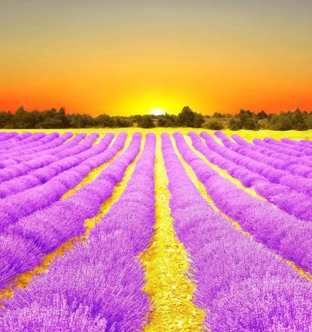 时光清浅，岁月无恙，一半素心以待，一半独守清欢(图4)