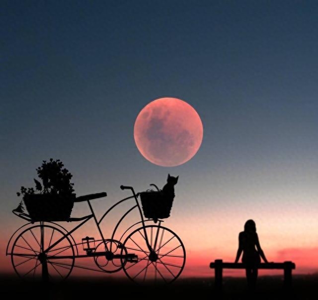 低调有内涵的感悟句子，经典至极，大彻大悟(图1)