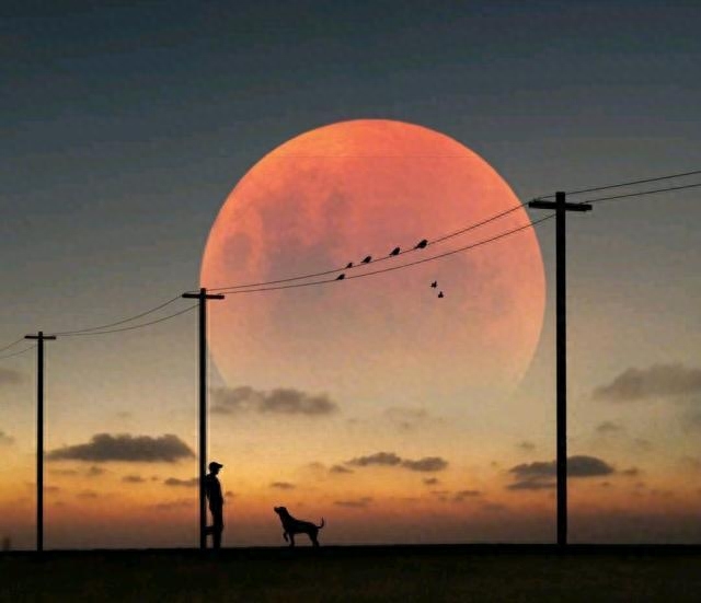 低调有内涵的感悟句子，经典至极，大彻大悟(图3)