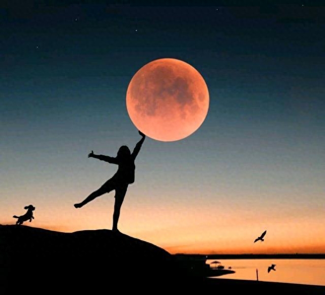 低调有内涵的感悟句子，经典至极，大彻大悟(图4)