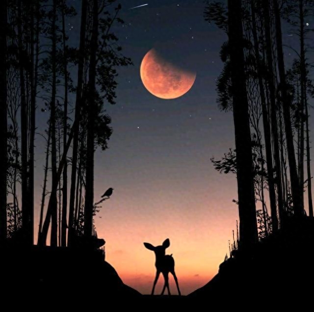 低调有内涵的感悟句子，经典至极，大彻大悟(图6)