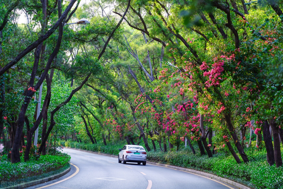四月：梨花落，春欲晚，花事荼蘼，彼岸无期，闺中风暖，陌上草薰(图4)