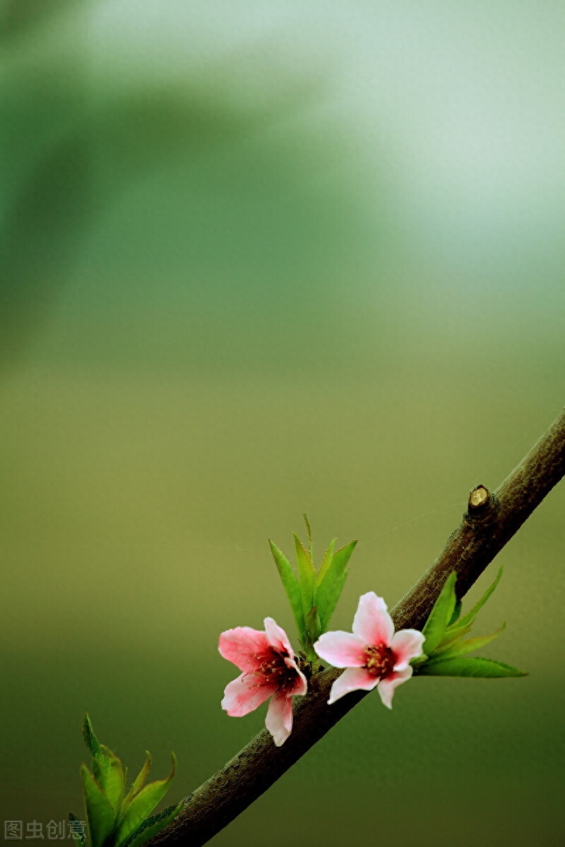 似水流年，总会心留一抹念；红尘风暖，总会拾得一缕香(图1)