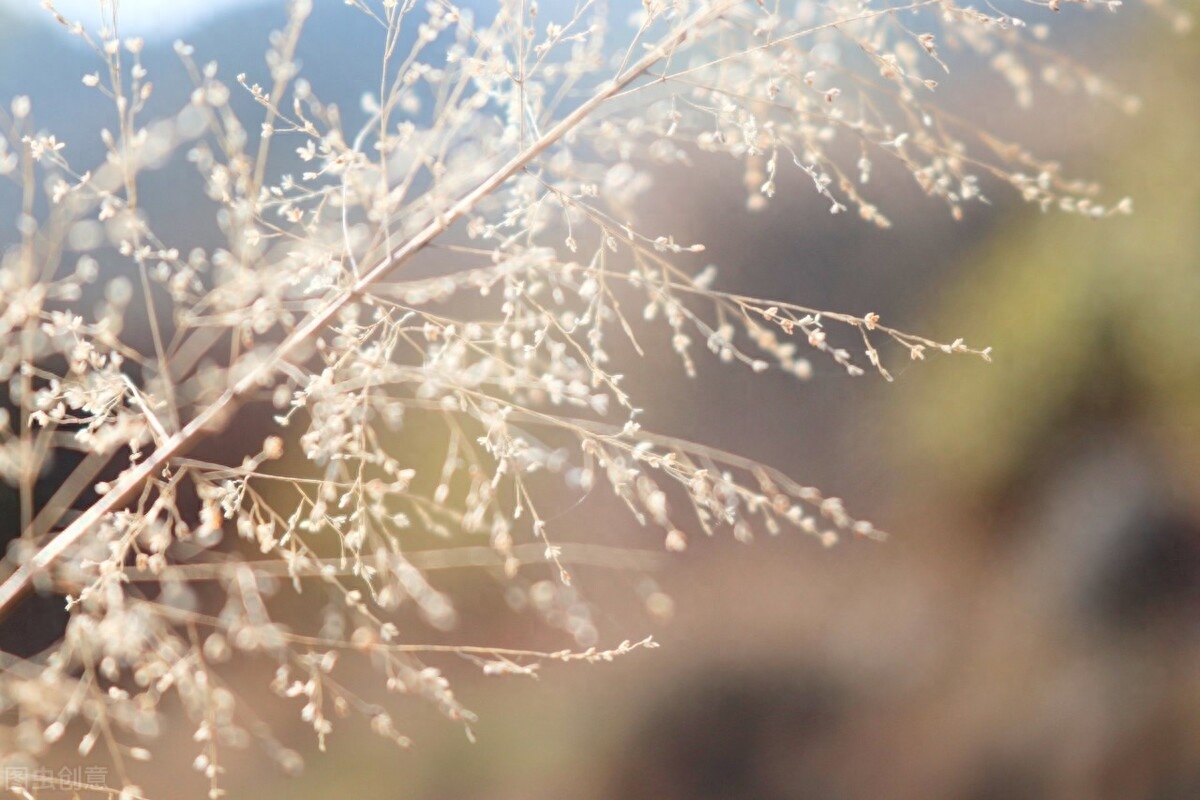 似水流年，总会心留一抹念；红尘风暖，总会拾得一缕香(图2)