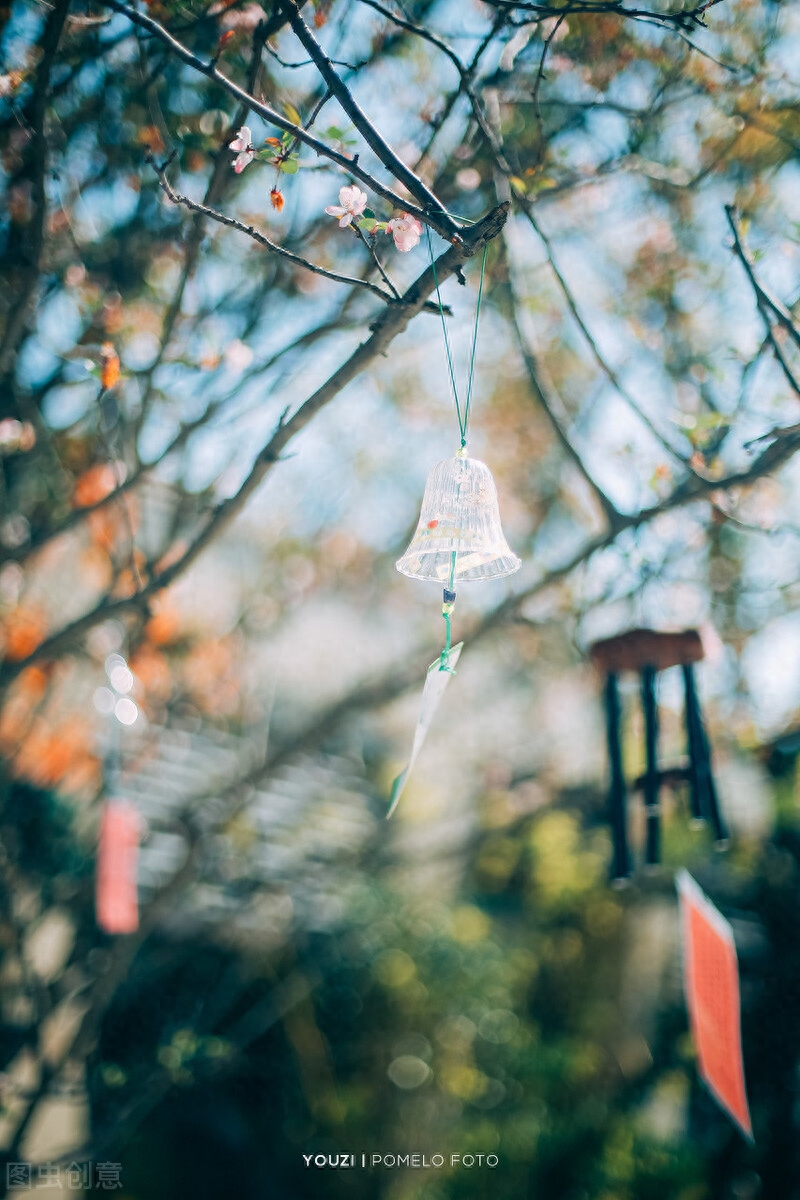 似水流年，总会心留一抹念；红尘风暖，总会拾得一缕香(图3)