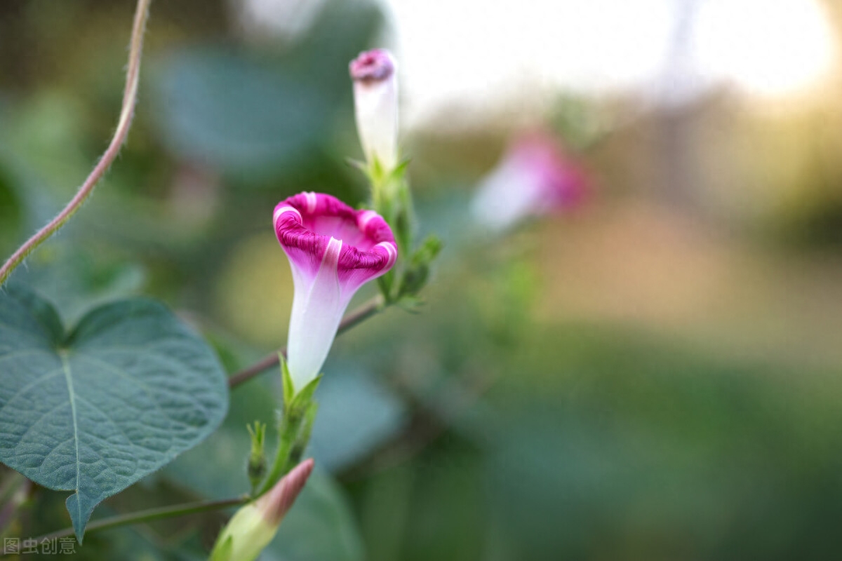似水流年，总会心留一抹念；红尘风暖，总会拾得一缕香(图5)