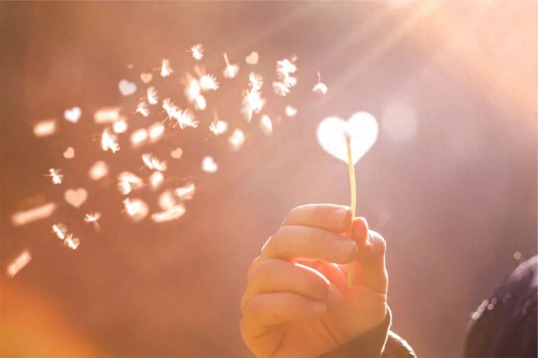 林徽因的9首诗 | 一身诗意千寻瀑，万古人间四月天(图2)