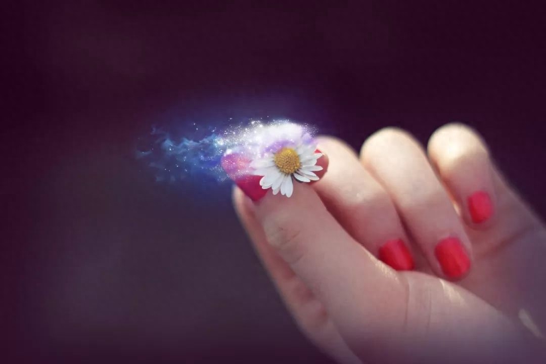 林徽因的9首诗 | 一身诗意千寻瀑，万古人间四月天(图8)