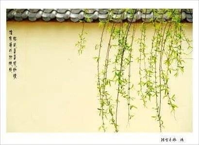 作别人间的四月天(图5)