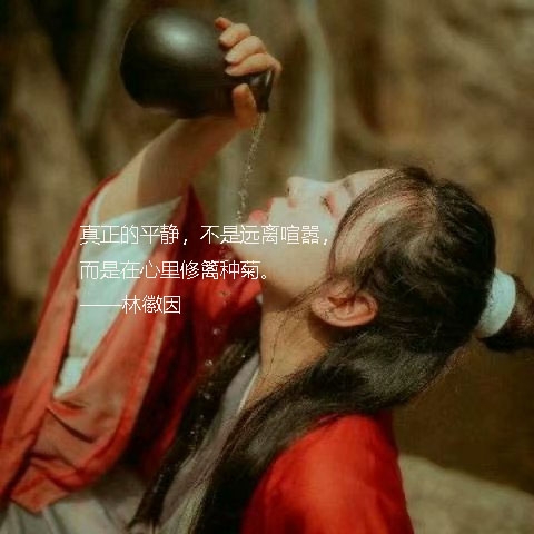 林徽因经典爱情语录：你若安好，便是晴天(图4)