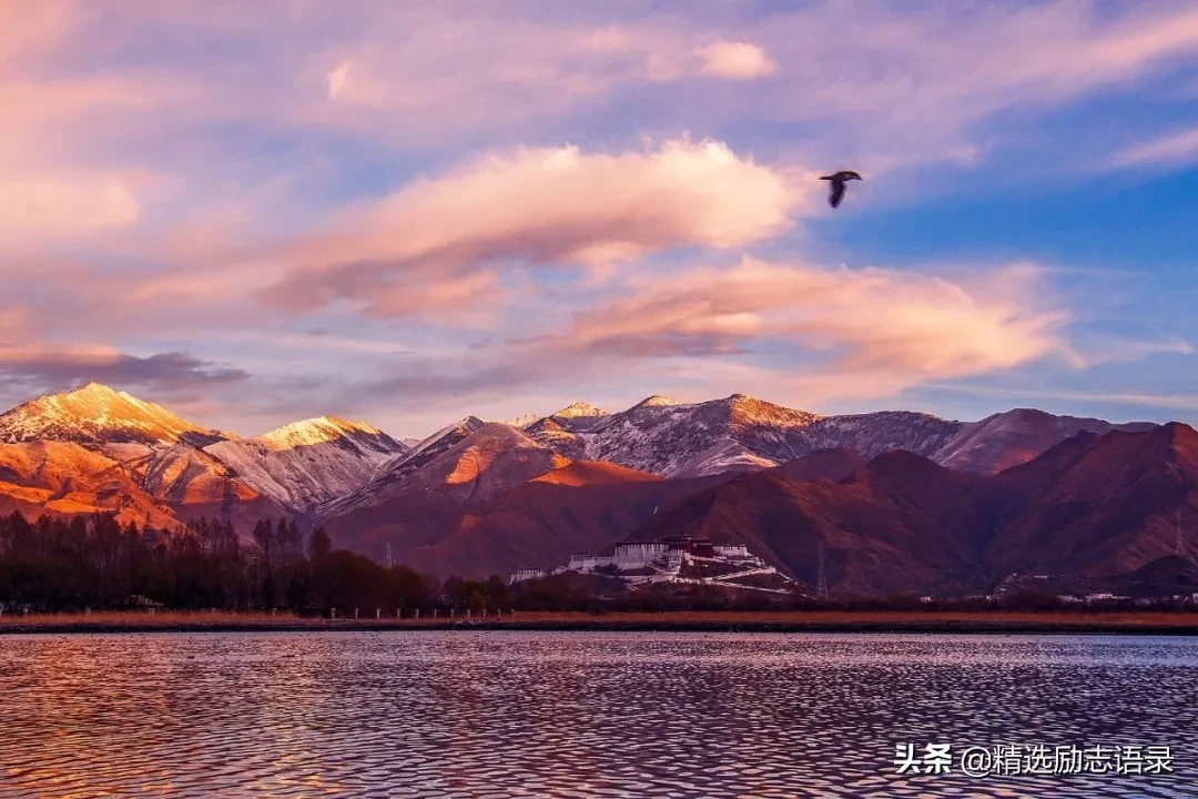 珍惜吧！人只有今生，没有来世(图1)