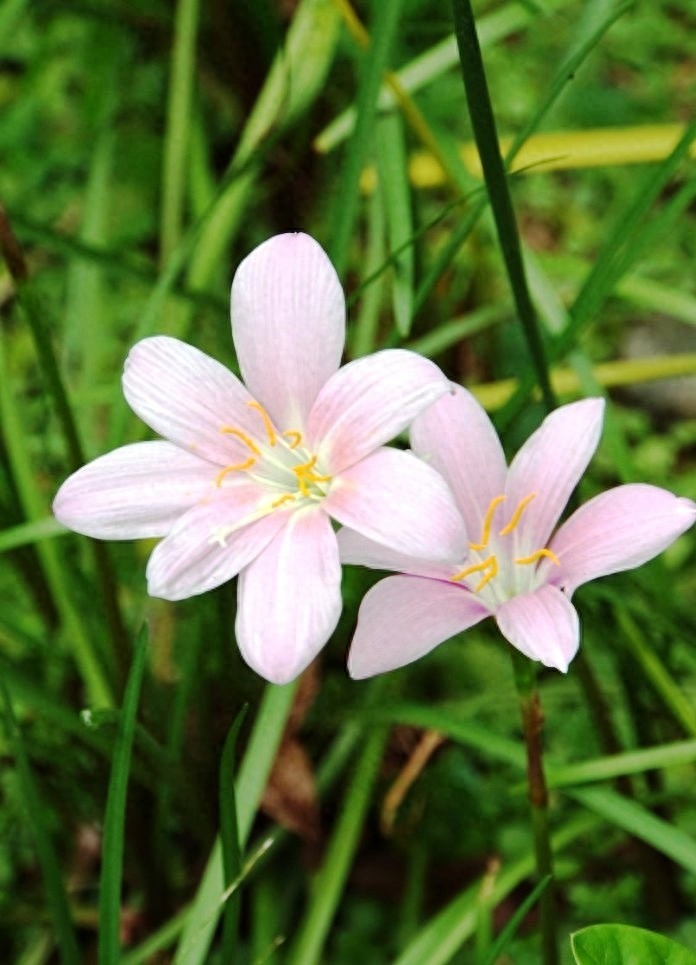 非常经典的好句子：人生没有下辈子，今生相遇即是缘(图1)