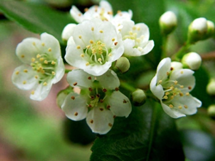 非常经典的好句子：人生没有下辈子，今生相遇即是缘(图2)