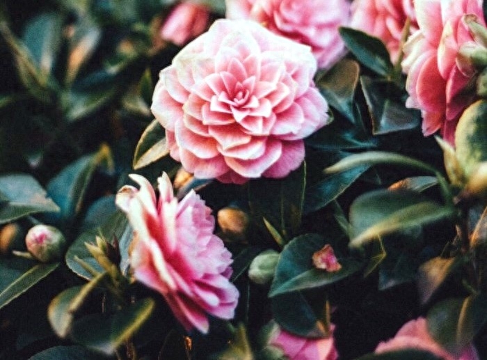 非常经典的好句子：人生没有下辈子，今生相遇即是缘(图3)