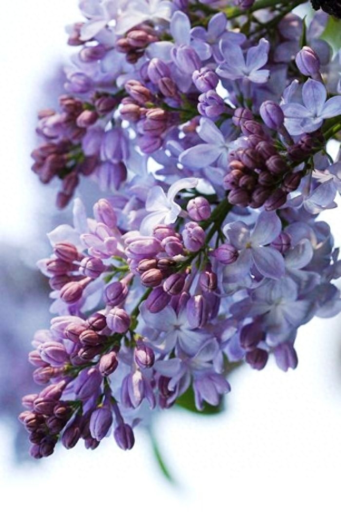 非常经典的好句子：人生没有下辈子，今生相遇即是缘(图4)