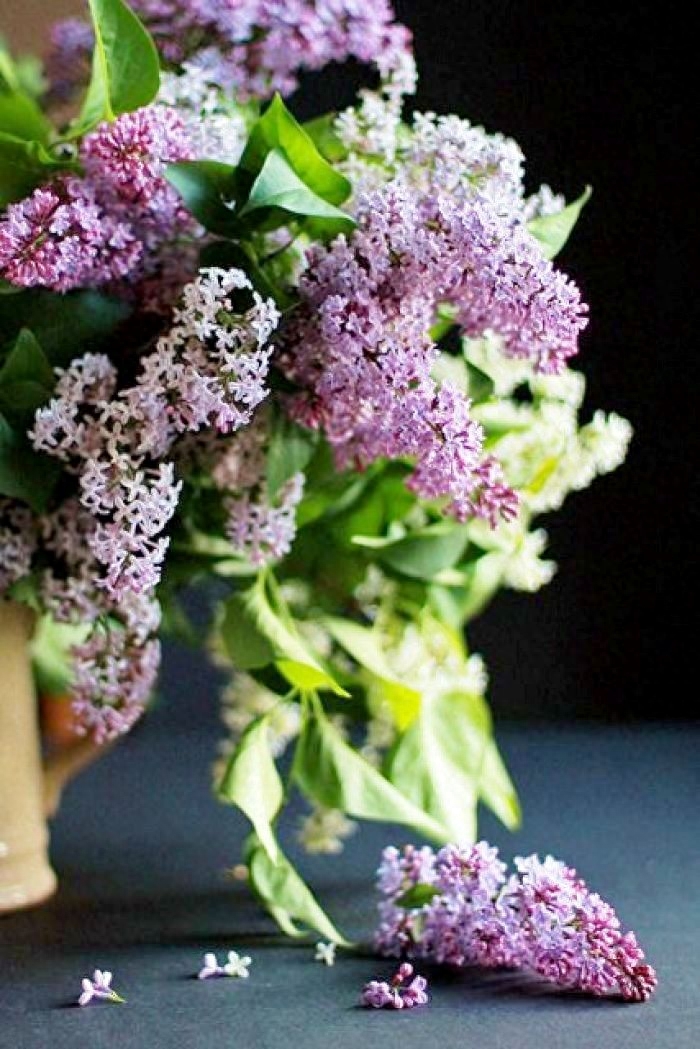 非常经典的好句子：人生没有下辈子，今生相遇即是缘(图5)