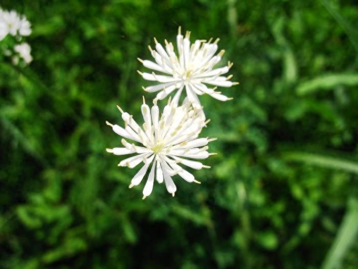 非常经典的好句子：人生没有下辈子，今生相遇即是缘(图6)